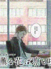 毒后番外小剧场 封面